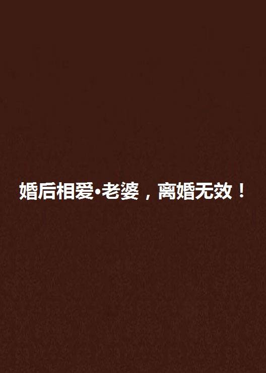 婚后相爱·老婆，离婚无效！