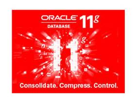 Oracle 11g 简化版