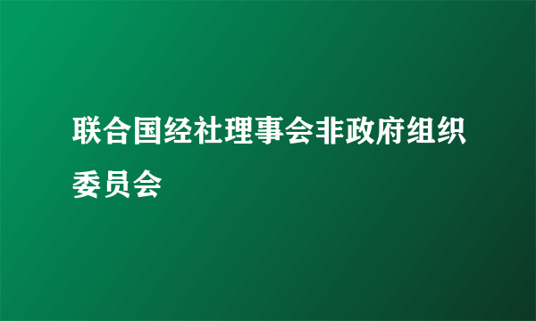 联合国经社理事会非政府组织委员会