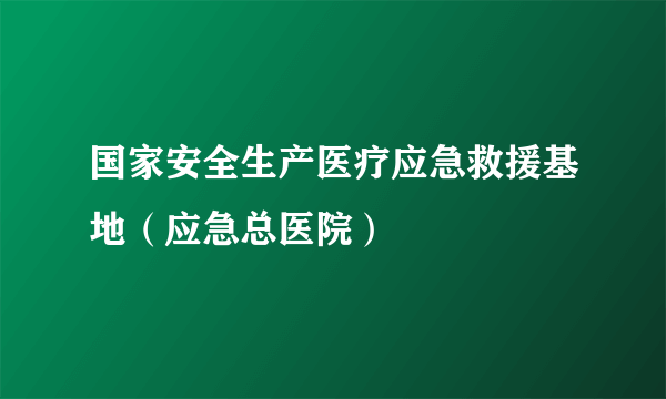 国家安全生产医疗应急救援基地（应急总医院）