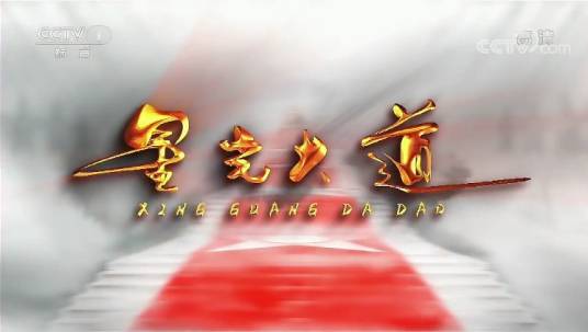 2015年星光大道节目列表