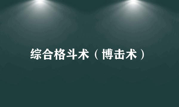 综合格斗术（博击术）