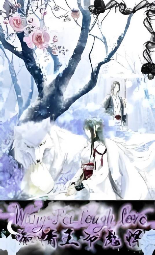 痴情王爷彪悍妃