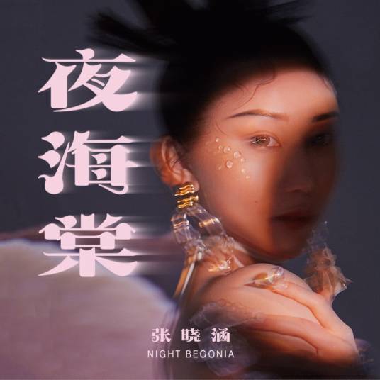 夜海棠（张晓涵演唱歌曲）
