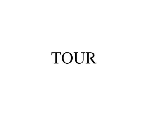 TOUR（巡回演唱会）