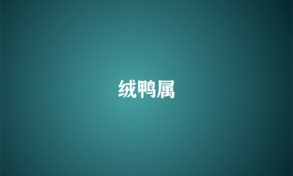 绒鸭属