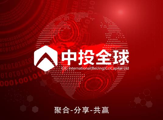中投全球（北京）财务咨询有限公司