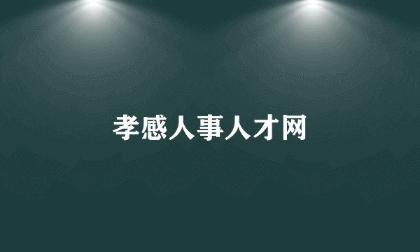 孝感人事人才网