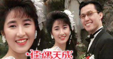 佳偶天成（1990年张国强、关咏荷主演的电视剧）