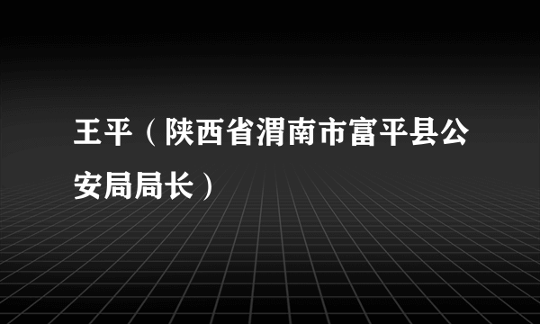 王平（陕西省渭南市富平县公安局局长）