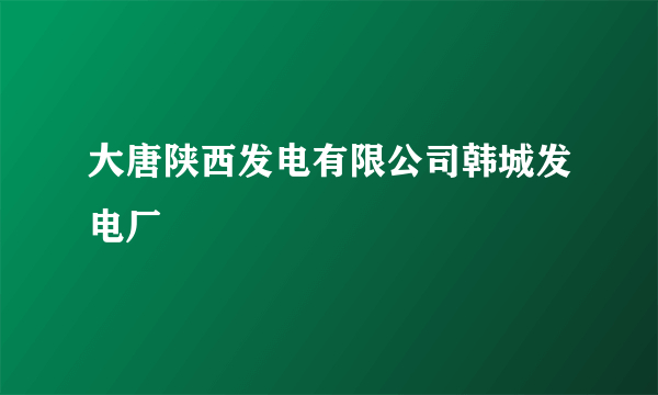 大唐陕西发电有限公司韩城发电厂