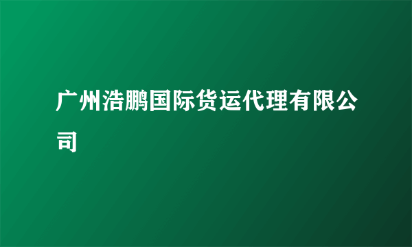 广州浩鹏国际货运代理有限公司