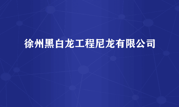徐州黑白龙工程尼龙有限公司