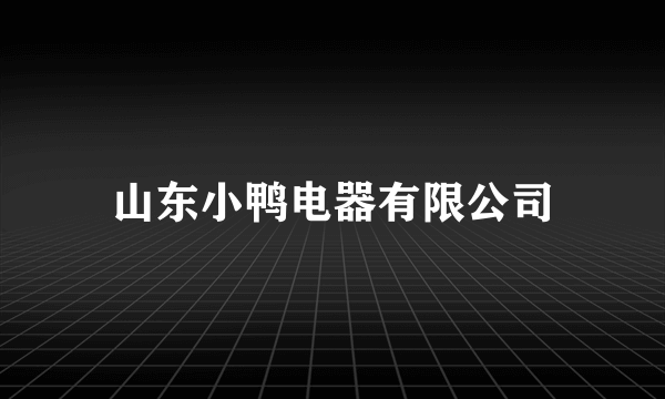 山东小鸭电器有限公司