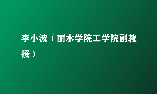 李小波（丽水学院工学院副教授）