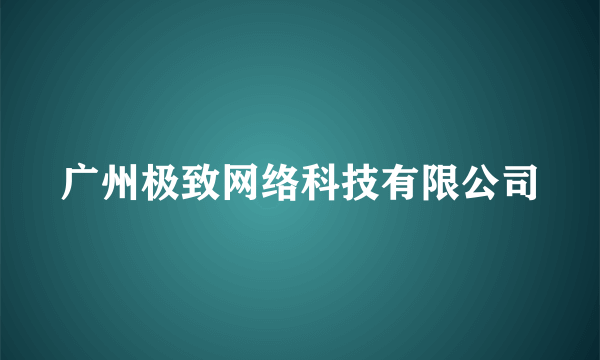 广州极致网络科技有限公司