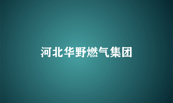 河北华野燃气集团