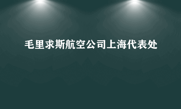 毛里求斯航空公司上海代表处