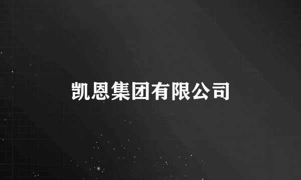 凯恩集团有限公司