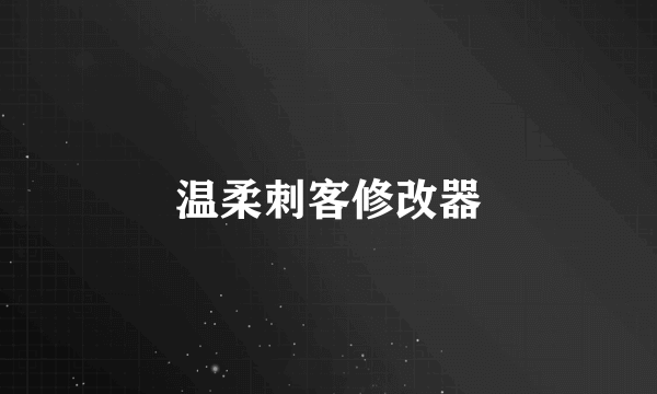 温柔刺客修改器