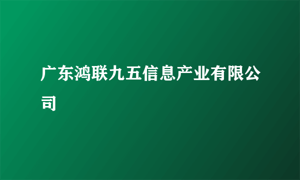 广东鸿联九五信息产业有限公司