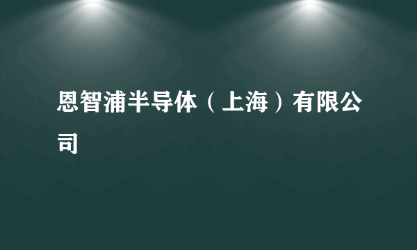 恩智浦半导体（上海）有限公司
