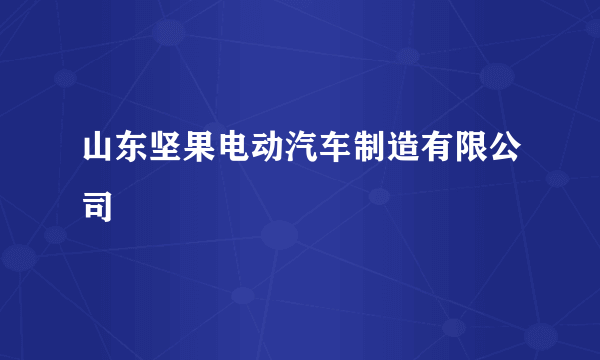 山东坚果电动汽车制造有限公司