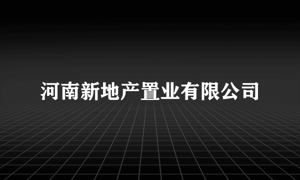 河南新地产置业有限公司