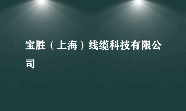 宝胜（上海）线缆科技有限公司