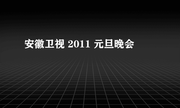 安徽卫视 2011 元旦晚会