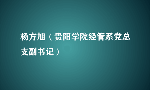 杨方旭（贵阳学院经管系党总支副书记）
