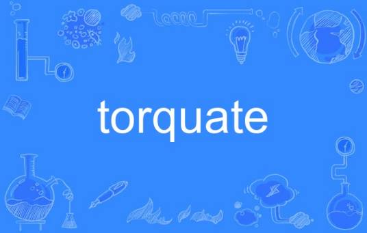 torquate