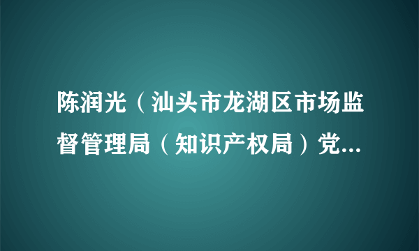 陈润光（汕头市龙湖区市场监督管理局（知识产权局）党组副书记、副局长、二级主任科员）