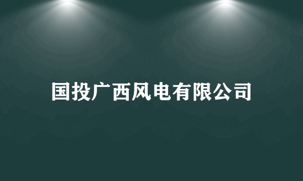 国投广西风电有限公司