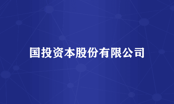 国投资本股份有限公司
