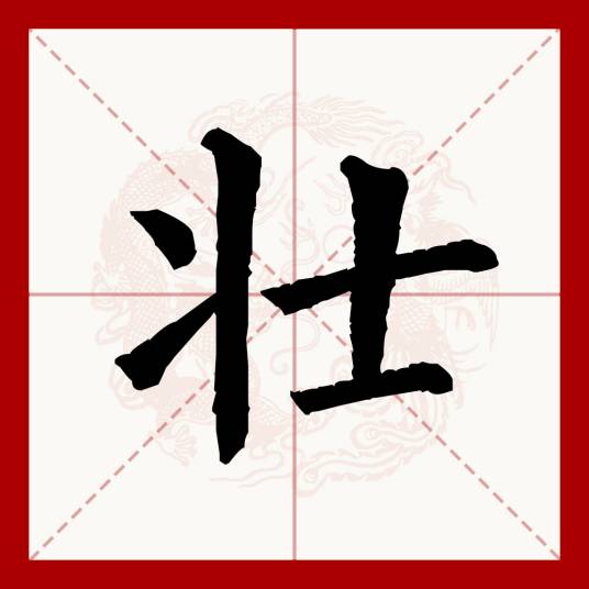 壮（汉语文字）