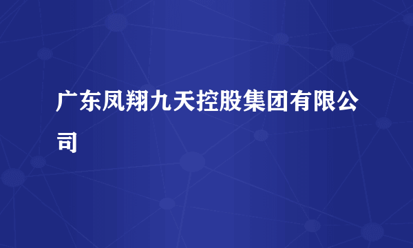 广东凤翔九天控股集团有限公司