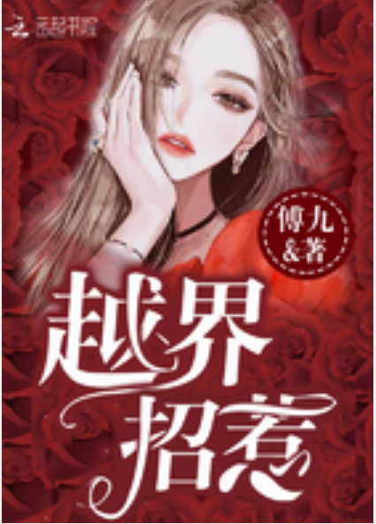 越界招惹（傅九创作的网络小说）
