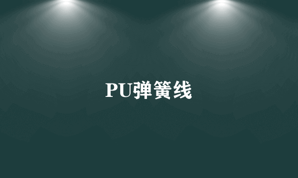 PU弹簧线