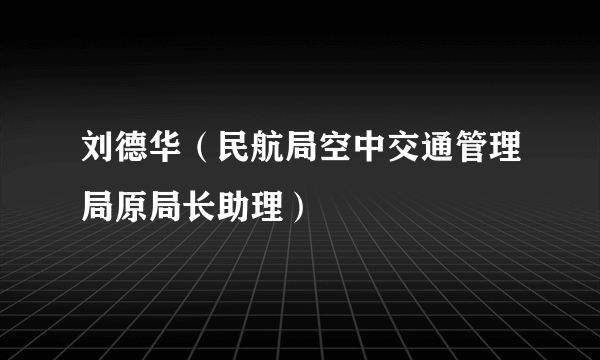 刘德华（民航局空中交通管理局原局长助理）