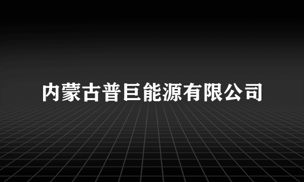 内蒙古普巨能源有限公司
