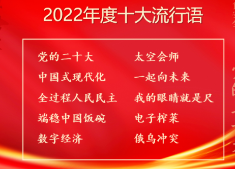 2022年度十大流行语