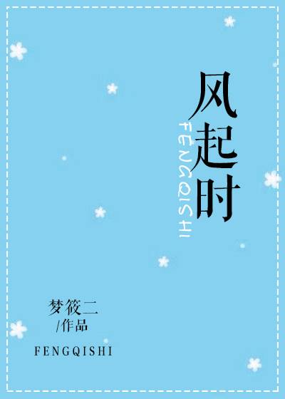 风起时（梦筱二创作的言情类网络小说）