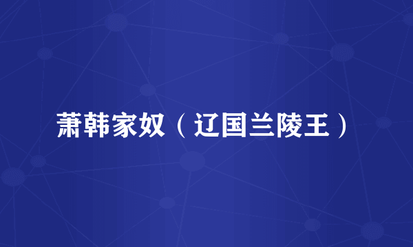 萧韩家奴（辽国兰陵王）