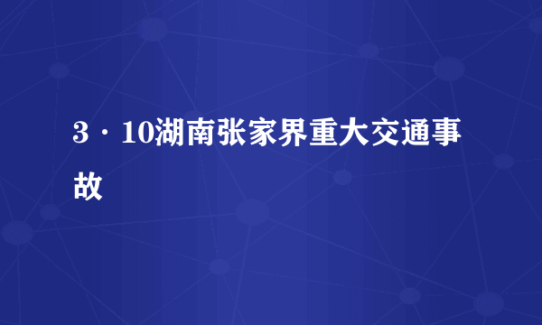 3·10湖南张家界重大交通事故