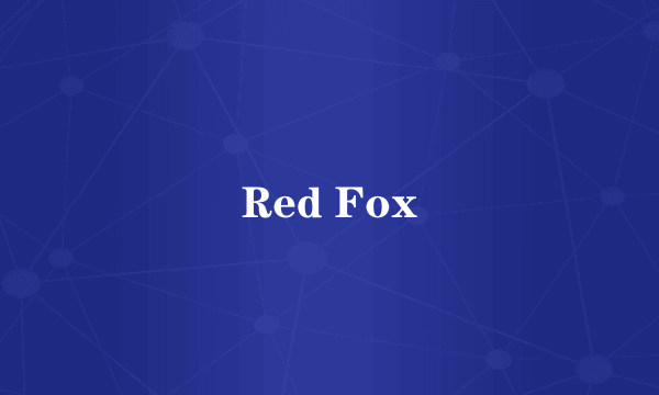 Red Fox