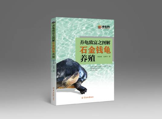 养龟致富之图解石金钱龟养殖