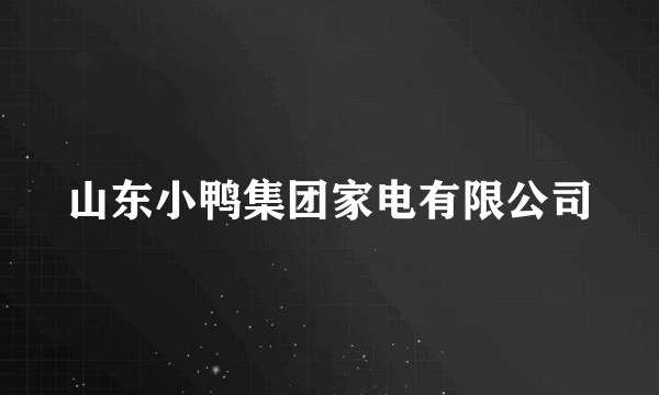 山东小鸭集团家电有限公司