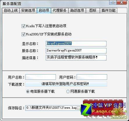 灰鸽子2007