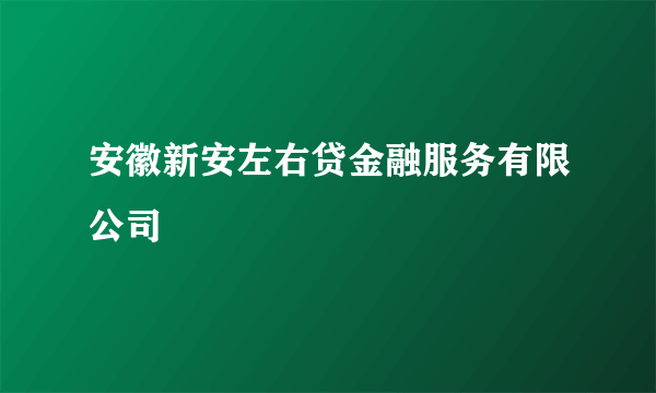 安徽新安左右贷金融服务有限公司